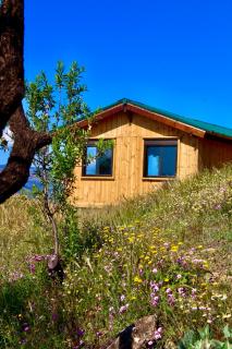 Cortijo Al-Andalus - 6