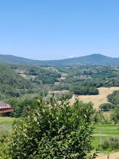 La Casina - 5
