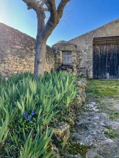 Mas Saint Roch - Lambesc - 3