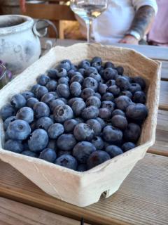 Sinnvoll - Ferienwohnung1 - 2