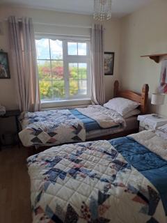 Seven Stars B&B - Portarlington - 4