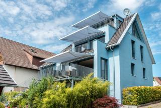 Blauer Seestern - Allensbach - 9