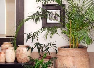 Dar Housnia - Marrakesch - 2