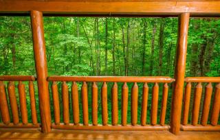 Whispering Grace - 0