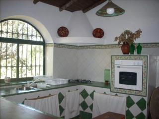 Casa Rural Arroyo de los Álamos - San Vicente de Alcántara - 4