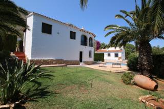 Don Quijote AM 6 P - Denia - 5