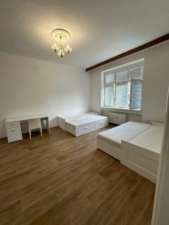 Spacious Apartment Ostrava centrum - Ostrava - 1