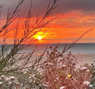 Air du large - Koksijde - 4