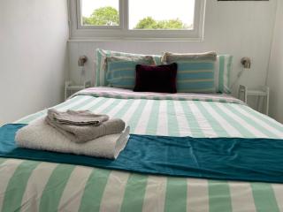 Dart Dream - Dartmouth - 3