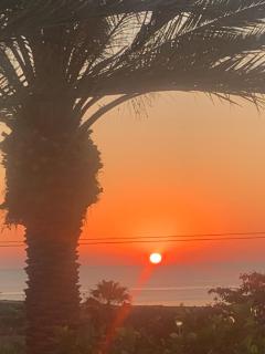 Fig Tree Bay Villa Elena - Protaras - 5