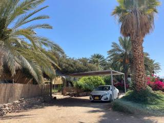 בית של אור ושקט - ‘En Yahav - 3
