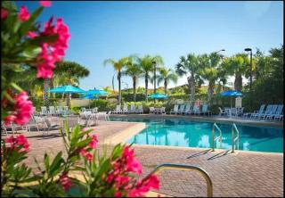 3BR Cozy Apartment at Caribe Cove Resort Near Disney! - 2