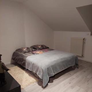 Chambre a proximité du circuit des 24 heures - Guémardières - 9