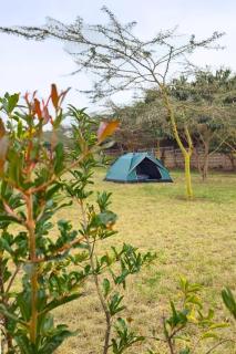 Shegadia Camp - - 0