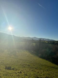 The Old Ford inn - 9