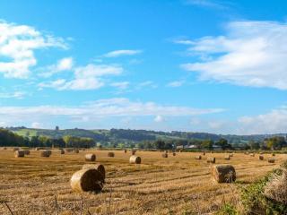 Figgy Cottage - Ripon - 1