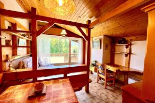 Charming apartment with a beautiful view Combloux - Combloux - 6