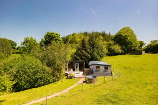 The Lily Pod - Abergavenny - 1