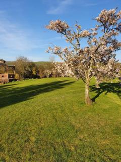Blackbeck Inn - Moffat - 2