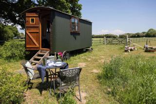 Harbour Ranch Hut - Rustic Countryside Escape - 8