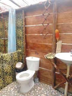 Lovely Amazon Rainforest Retreat - - 4