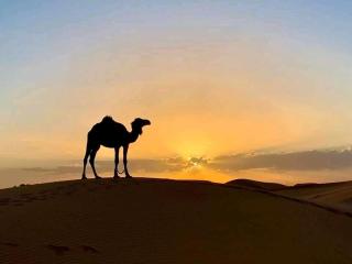 ak hfuygiu - Merzouga - 7
