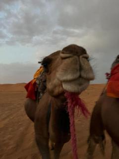 ak hfuygiu - Merzouga - 4