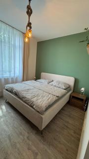 Iglovia Apartment - Spišská Nová Ves - 2