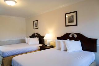The Colonial Lodge - Stone Harbor - 5