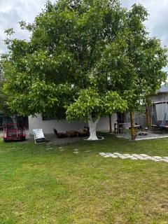 Kesi’s House - Bordschomi - 0