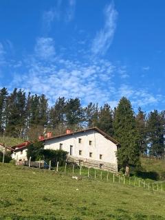 Country loft Zarautz- San Sebastián - Aia - 2