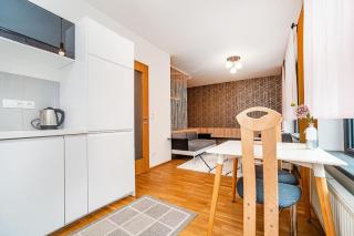 Spacious studio with free parking - Prag - 6
