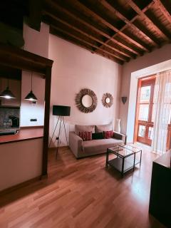 Wonderful Apartment in Malaga Oldtown Calle Carreteria FREE WIFI&AC - Malaga - 7
