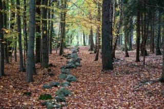 Suite at Château Domoušice - 1