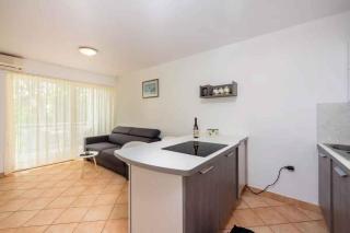 Apartment in Selce 45072 - 5