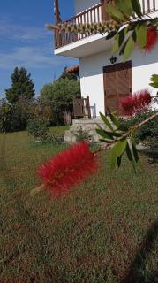 "STARDUST" Family House - 5