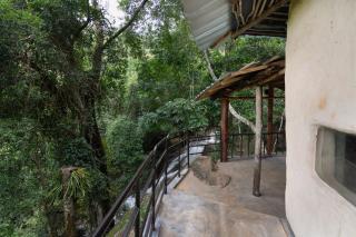 Kithul cob hideaway - Beragala - 7