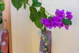 Holiday home in Crikvenica 45055 - Crikvenica - 2