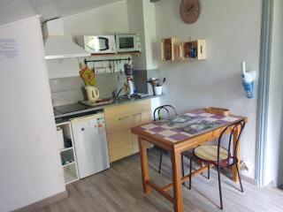 Les Marronniers Charmant petit appartement a La Tour d'Aigues Vaucluse - 8
