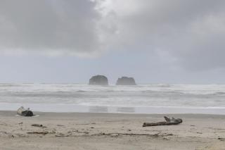 1 Block to Twin Rocks Beach Pet-Friendly Cottage - 0