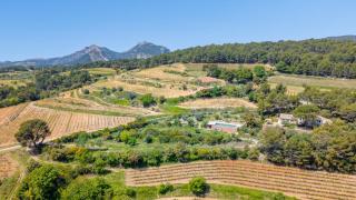 Le Mazelli des Dentelles - Vue Panoramique - Suzette - 8