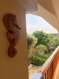 Casa vacanze Santa Teresa di Gallura la Ficcacia - Santa Teresa Gallura - 8