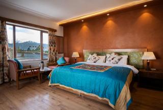 Hotel Lingzi - at the Mall Road & newly renovated - Leh - 3