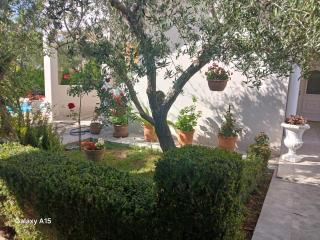 Apartmani Kulaš - Pakoštane - 9