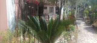 bludream - Augusta - 6