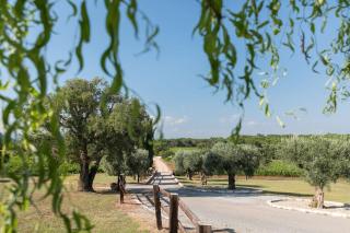 La Bastide de Verez - Vidauban - 4