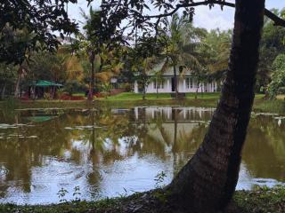 The Shenu Lake House - Dandugama - 0