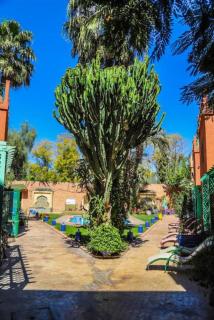 Residence 16 riads - Marrakech - 9