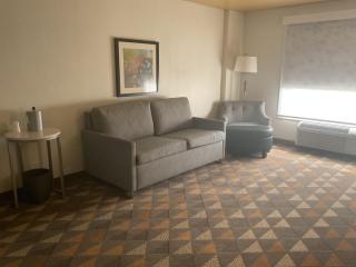 Holiday Inn Houston Intercontinental Airport by IHG - Houston - 6