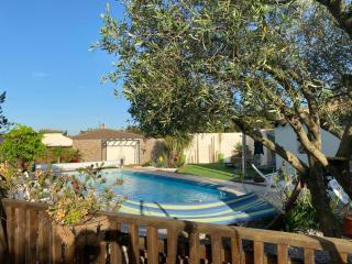 Les Oliviers - Villemoustaussou - 8